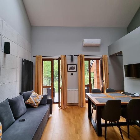 Апартаменты Apartament Dwupoziomowy Z Klimatyzacja Крыница-Здруй Экстерьер фото