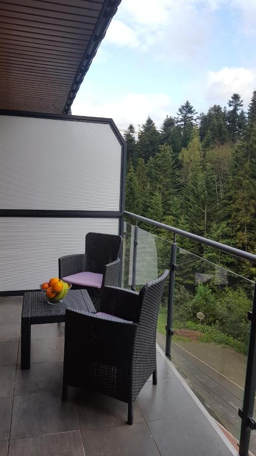 Апартаменты Apartament Dwupoziomowy Z Klimatyzacja Крыница-Здруй Экстерьер фото